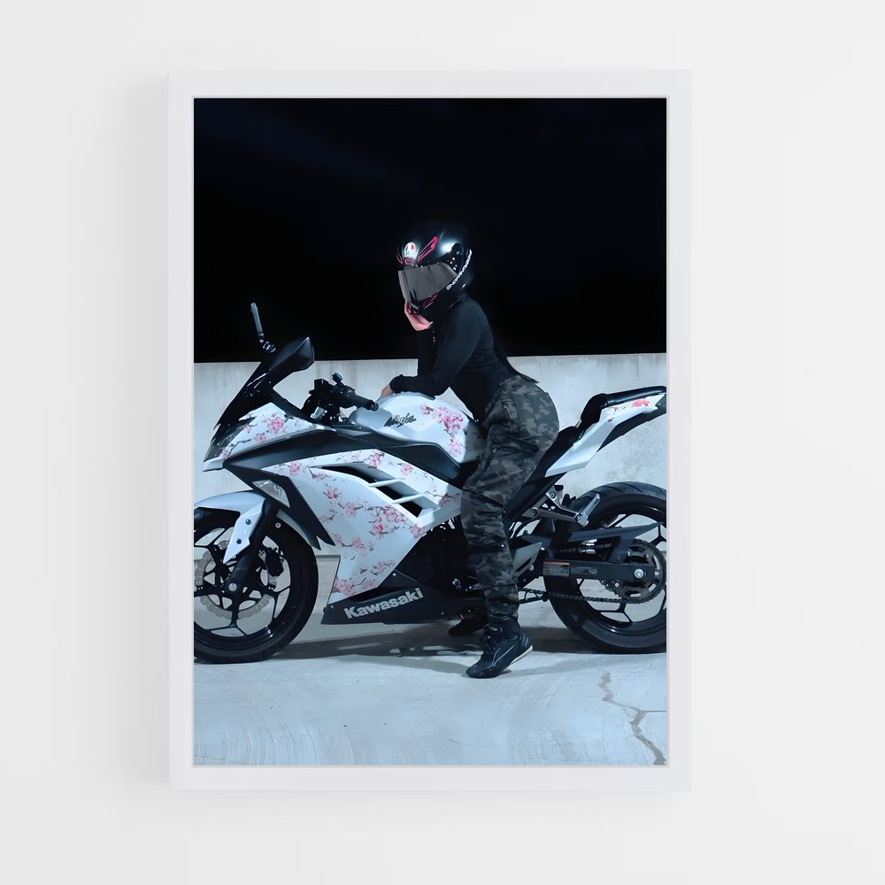 Poster Ride of the Ninja (vue 3)